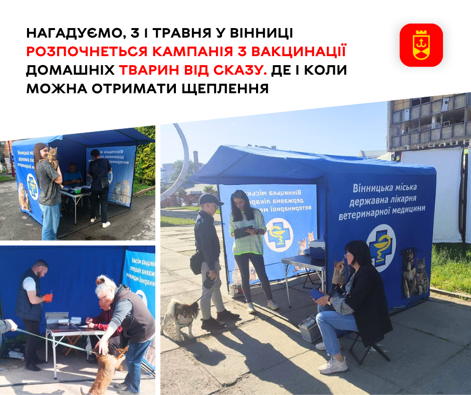 Нагадуємо, з 1 травня у Вінниці розпочнеться кампанія з вакцинації домашніх тварин від сказу. Де і коли можна отримати щеплення